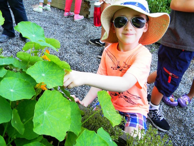 The Island Today: The top events for kids for the coming week