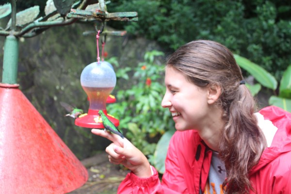 Readers Write: A poetic welcome to ‘Hummingbird’ Readers Write: A poetic welcome to ‘Hummingbird’