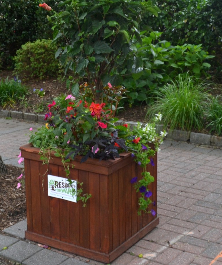 Planters refreshed for summer