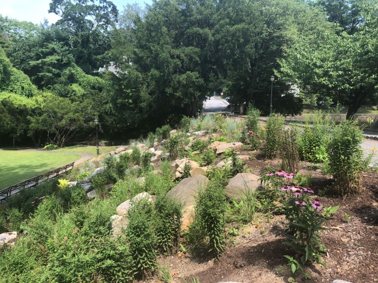 Dogs now allowed in Gerry Pond Park