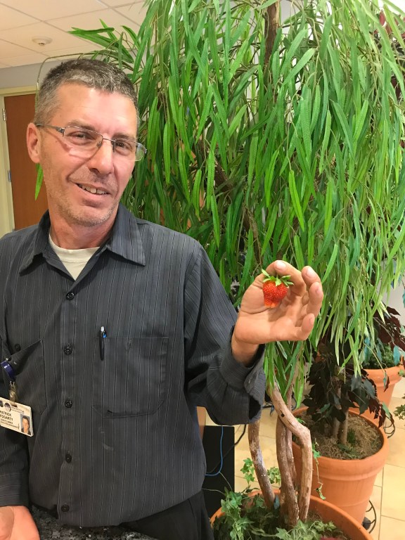 Parker Jewish Institute embraces the healing properties of horticulture
