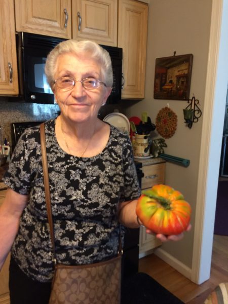 Readers Write: Gigantic tomato weighs 1.5 lbs.