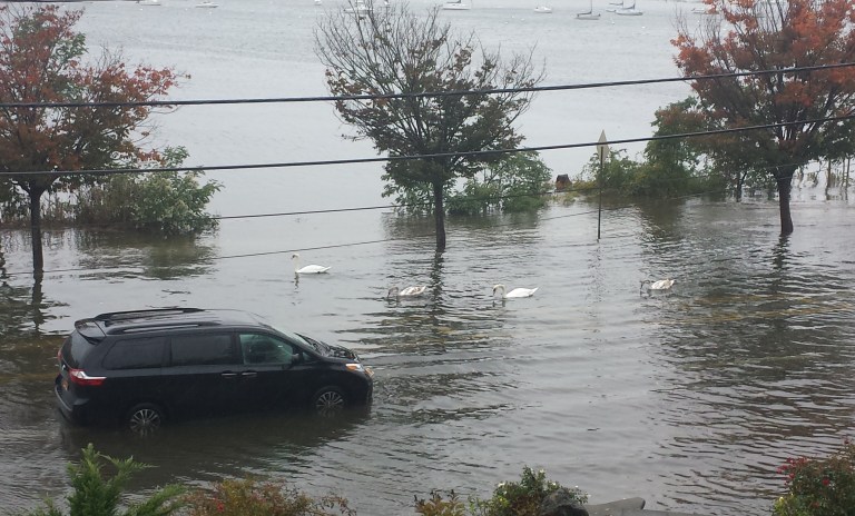 Shoring up Shore Road