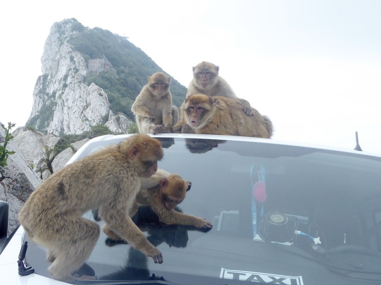 Going places: Global Scavenger Hunt: A dash through Gibraltar reveals a modern day Brigadoon