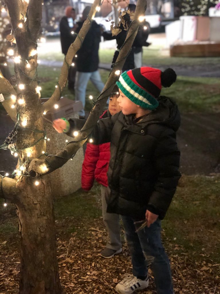 Lights and Ice event brightens the Village Green