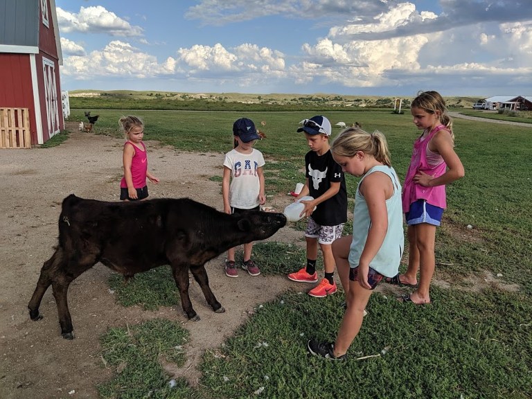 Going places: Badlands, Black Hills: Mickelson Trail bike tour offers unexpected experience on guest ranch