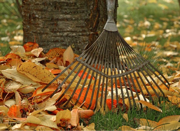 Yard Work: Raking In the Benefits Yard Work: Raking In the Benefits