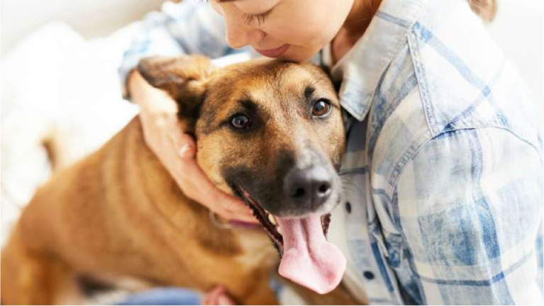 Two of the Most Expensive Dog Breeds You Can Own