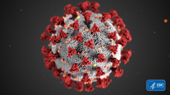 Feds’ coronavirus response falls short of real estate disclosure duties Feds’ coronavirus response falls short of real estate disclosure duties