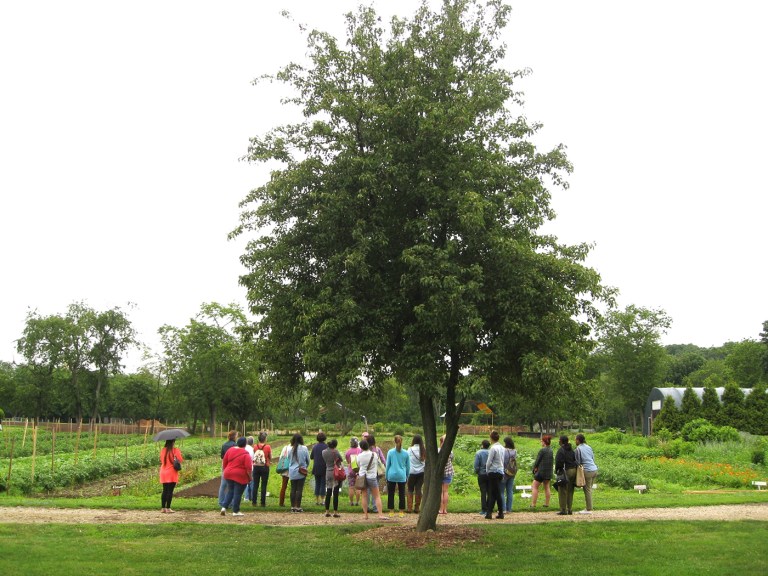Bee a pollinator: Earth Day celebration at Queens Farm