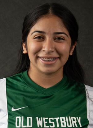 Old Westbury soccer player dies in car crash Old Westbury soccer player dies in car crash