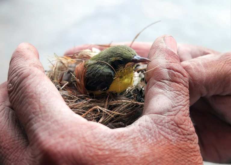 Earth Matters: I Found a Baby Bird