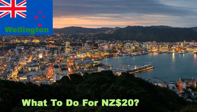 Cool Things to Do in Wellington for NZ$20