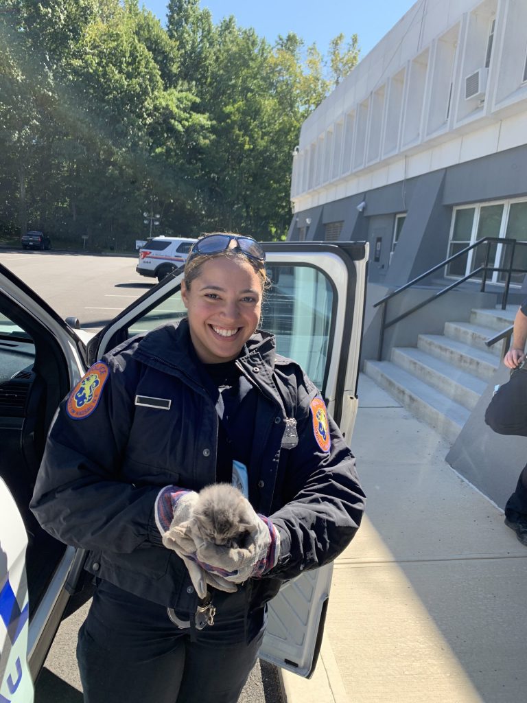 Police officers rescue kitten trapped in Russell Gardens home Police officers rescue kitten trapped in Russell Gardens home
