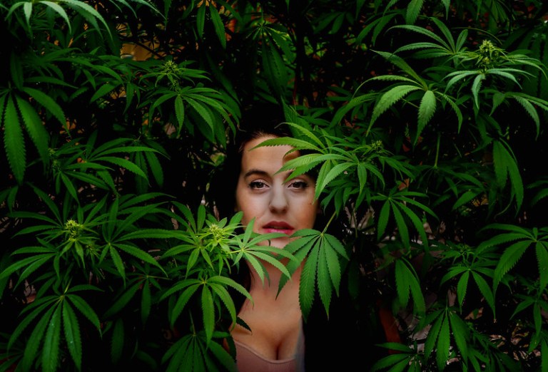 Women Entrepreneurs In The Cannabis Industry