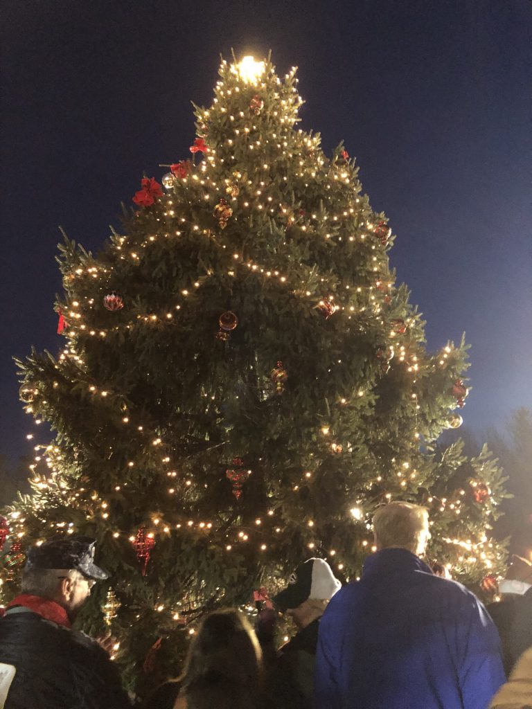 Port tree lighting to go virtual Port tree lighting to go virtual