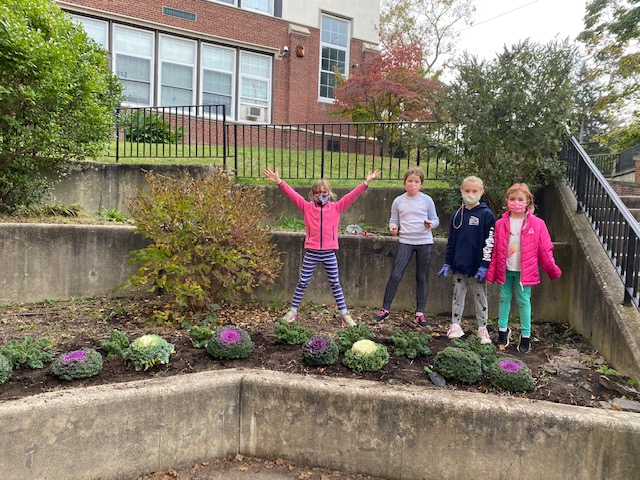 Manhasset students assist in upkeep of school gardens Manhasset students assist in upkeep of school gardens