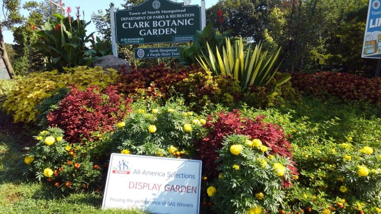 Town selected as All-America Selections winner in Landscape Design Challenge Town selected as All-America Selections winner in Landscape Design Challenge