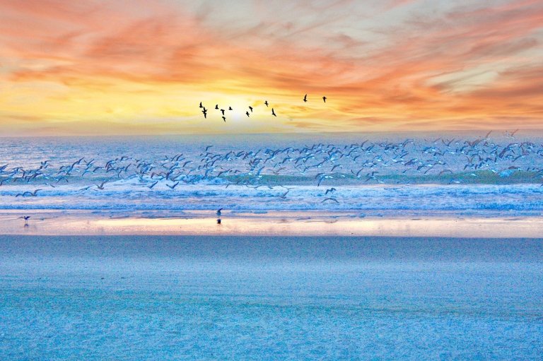 Why Is It a Good Idea to Retire in Myrtle Beach? Why Is It a Good Idea to Retire in Myrtle Beach?