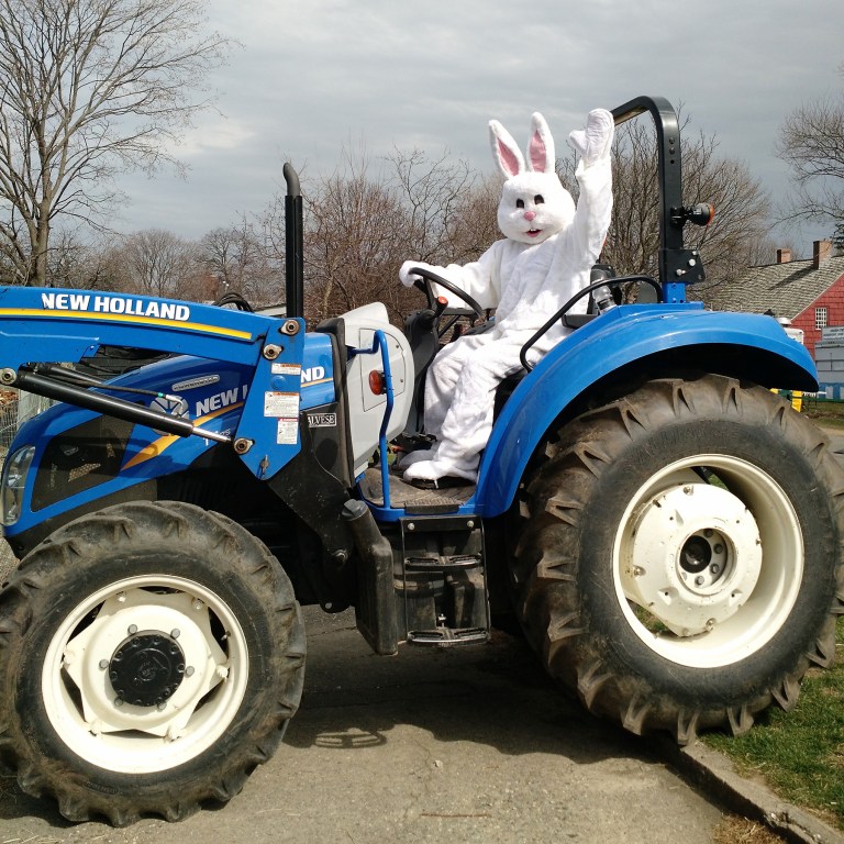 Event: Barnyard Egg Hunt