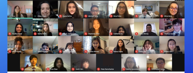 Herricks Model UN attends virtual conference