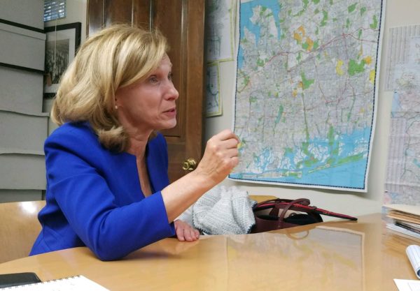 Nassau GOP selects Elaine Phillips as candidate for county comptroller