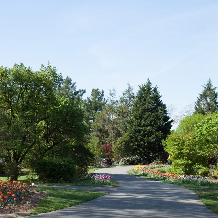Clark Garden featured on AAA’s Best Botanic Gardens in the Northeast