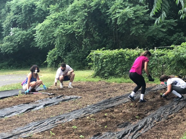 2021 summer program to fight hunger and climate change launched