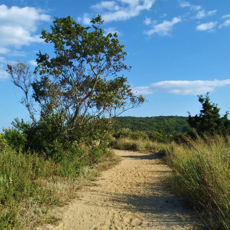 Readers Write: Meditation on a Beach