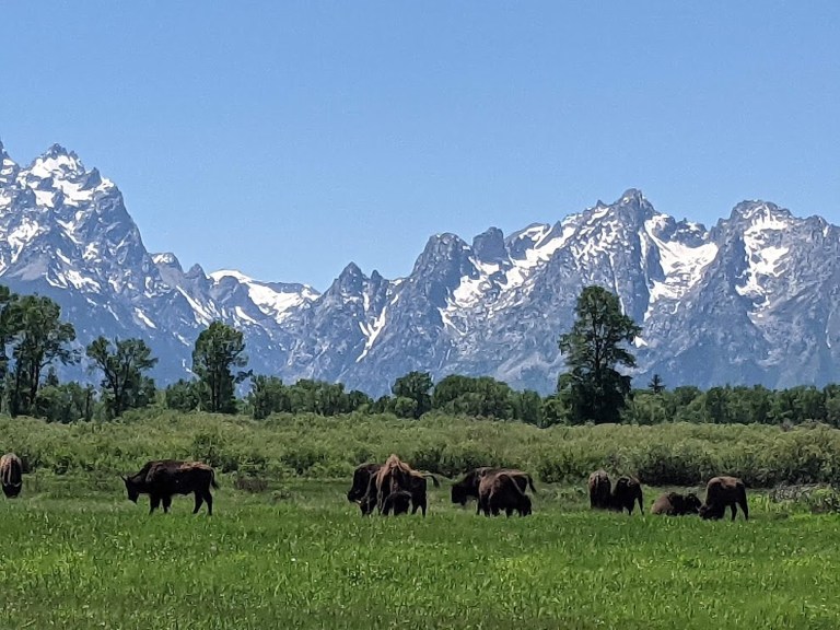 Going places: Grand Teton National Park: Mother Nature in her purest form