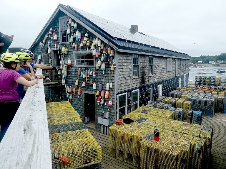 Going places: Discovery Bicycle’s 6-day Coast of Maine Tour delights the senses Going places: Discovery Bicycle’s 6-day Coast of Maine Tour delights the senses