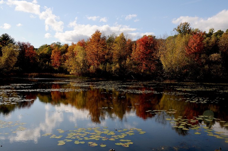 Going places: Most glorious fall foliage is right in our neck of the woods