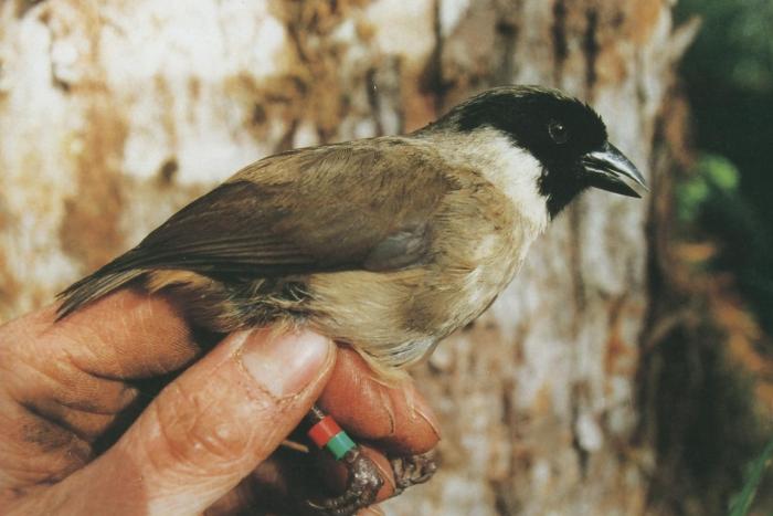 Earth Matters: Extinction is forever