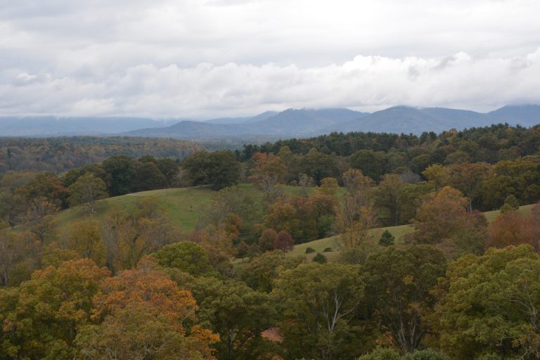 Our Town: Wolfe had an Appalachian story to tell