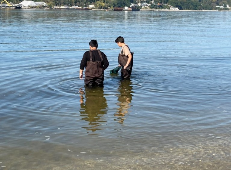 North Shore Middle School Viking Explorers examine local life forms