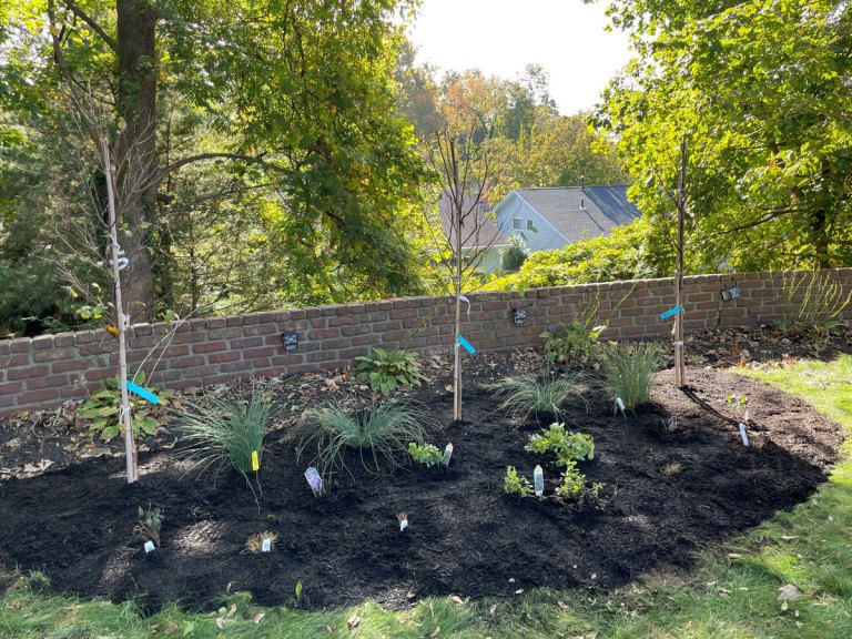 Native plant program creates babitats for pollinators