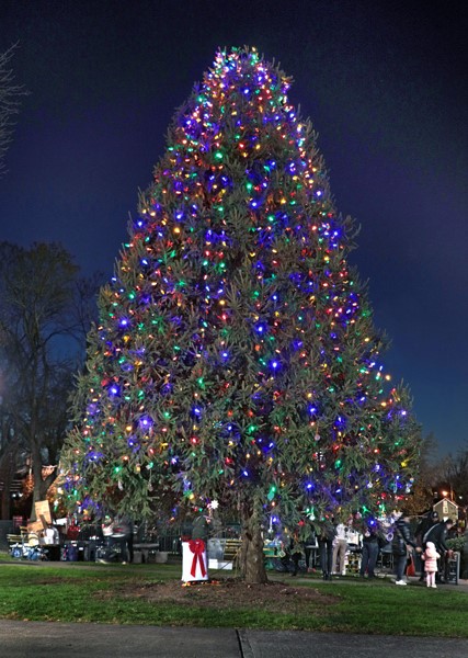 Town holds annual Manhasset tree lighting ceremony Town holds annual Manhasset tree lighting ceremony