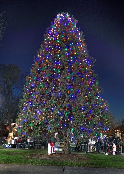 Town holds annual Manhasset tree lighting ceremony