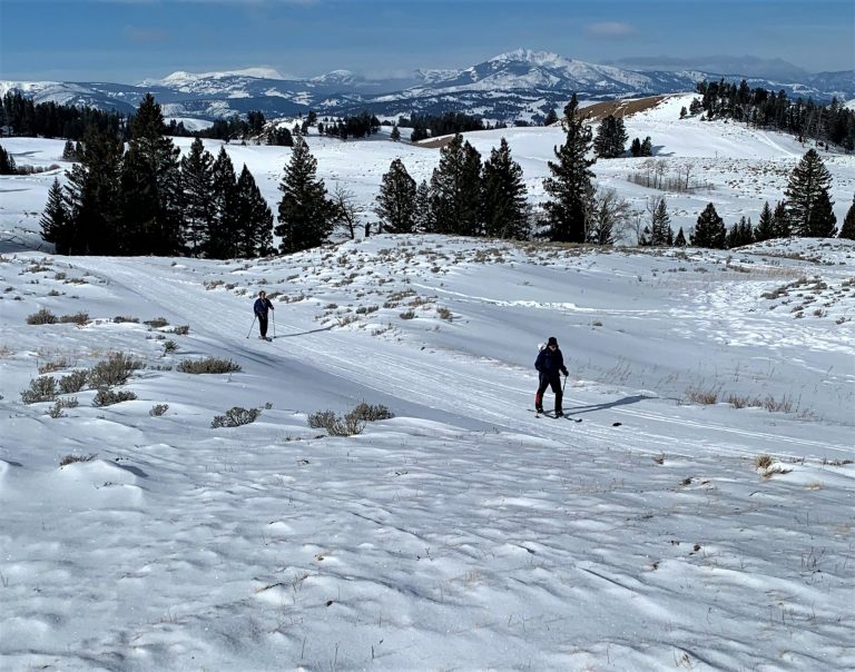 Readers Write: Yellowstone