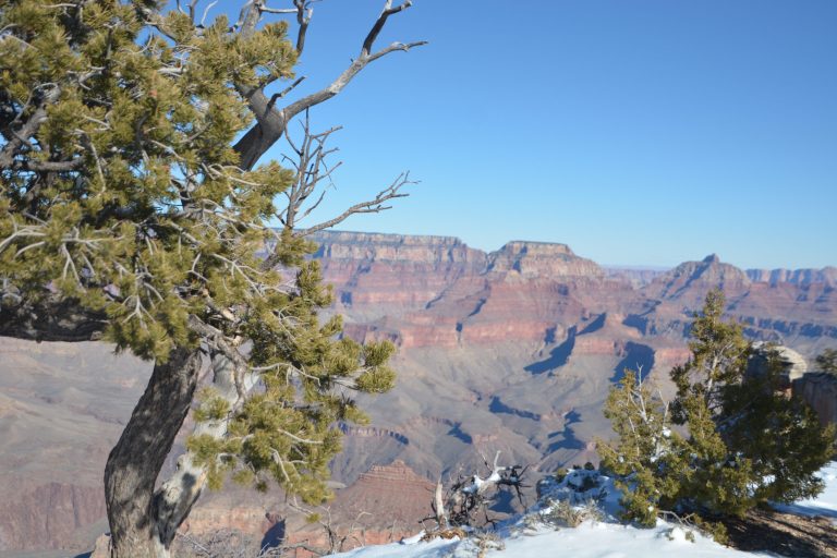 Our Town: Hunker down but don’t hibernate this winter