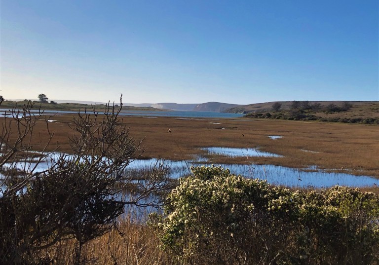 Readers Write: California Time — Point Reyes National Sea Shore