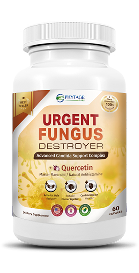 Urgent Fungus Destroyer Reviews – Read My Results Before You Try! Urgent Fungus Destroyer Reviews – Read My Results Before You Try!