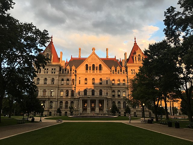 New Yorkers head to the polls next week for gubernatorial primaries