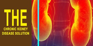 The Chronic Kidney Disease Solution Book