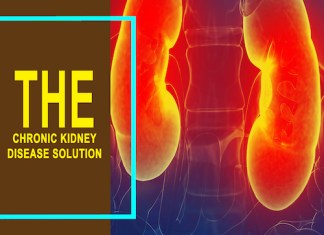 The Chronic Kidney Disease Solution Book