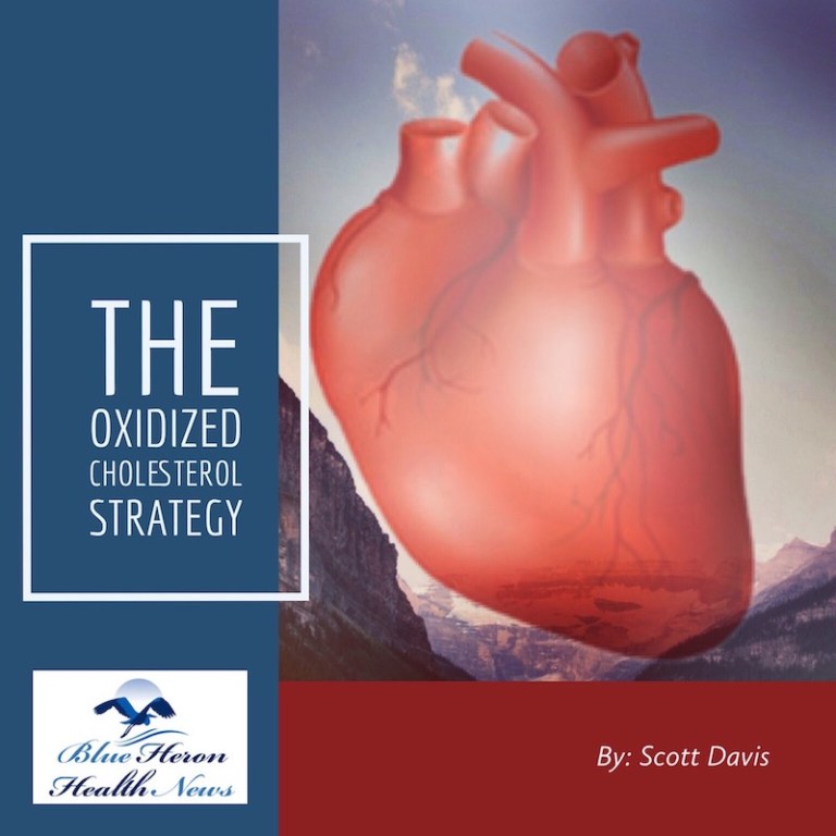 The Oxidized Cholesterol Strategy Reviews – Here’s My Experience