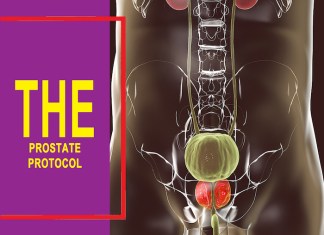 The Prostate Protocol Diet PDF