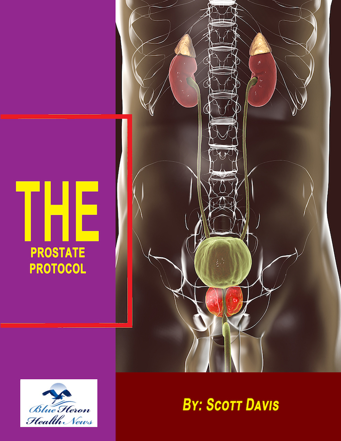 The Prostate Protocol Reviews – Scott Davis PDF Program Download!