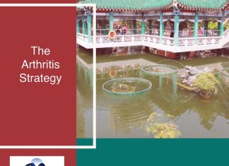 The Arthritis Strategy Guide