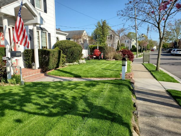 The plush, dark green front lawn of the Jonathan Green "Show Us Your Lawn" month of June winner John Robinson.